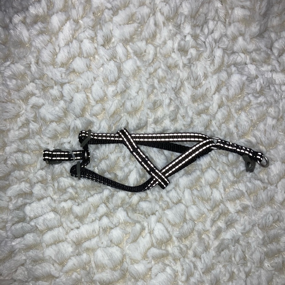 XS Black and White Dog Collar